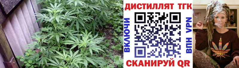 Дистиллят ТГК вейп с тгк  Новокубанск 