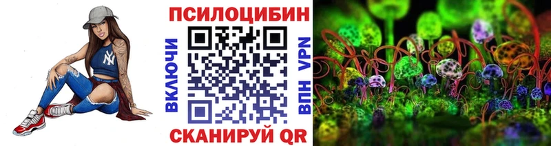 купить наркоту  Новокубанск  Псилоцибиновые грибы Psilocybe 