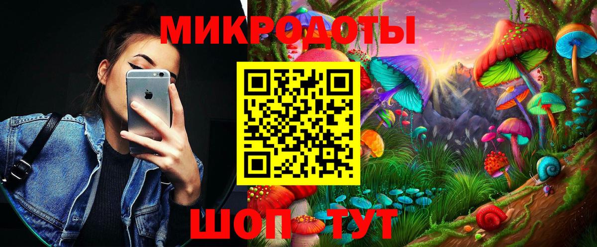 где продают наркотики  Галлюциногенные грибы Psilocybe  Вход с VPN  Новокубанск 