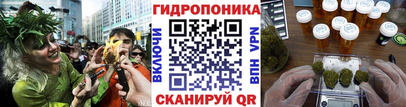 Каннабис OG Kush Новокубанск
